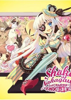 Copertina di Shoko Nakagawa Prism Tour Special