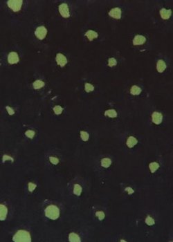 Copertina di Nice to See You