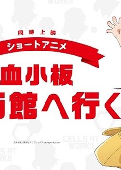 Copertina di Kesshouban: Eigakan e Iku