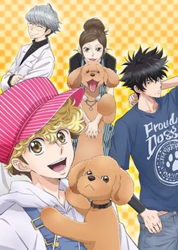 Copertina di Dog Signal