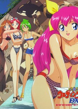 Copertina di Wedding Peach DX