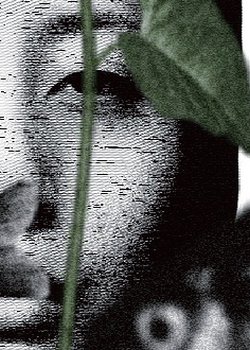 Dialogue Between Two