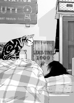 Copertina di Everlasting Heart