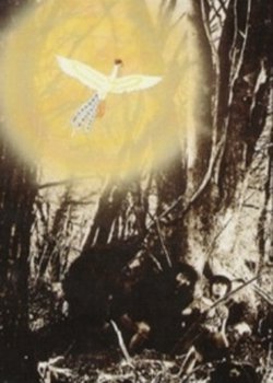 Copertina di The Phoenix: Chapter of Dawn