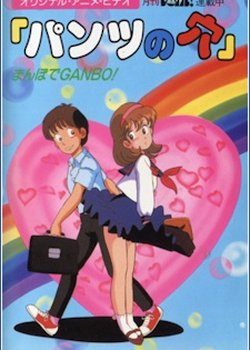 Copertina di Pants no Ana