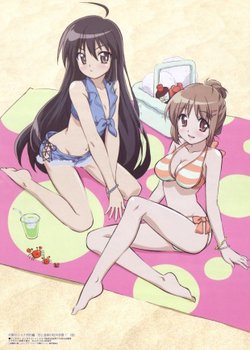 Copertina di Shakugan no Shana SP: Koi to Onsen no Kougai Gakushuu!