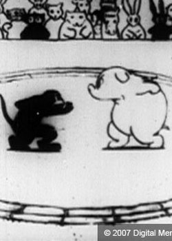 Copertina di Animal Sumo