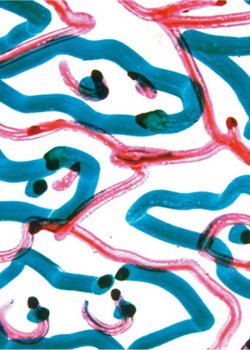 Copertina di Direct Animation