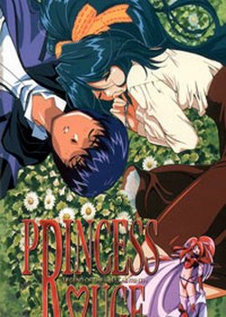 Copertina di Princess Rouge