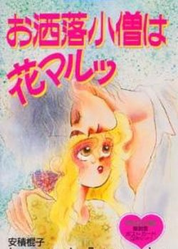 Copertina di The Fashion Boy is Cool