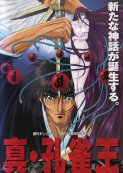 Copertina di Spirit Warrior