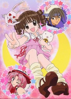 Copertina di Searching for the Full Moon