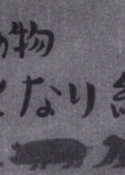 Copertina di The Animal Neighborhood Community