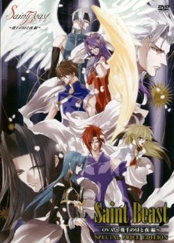 Copertina di Saint Beast: Ikusen no Hiru to Yoru-hen