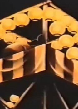 Copertina di Squid Festival