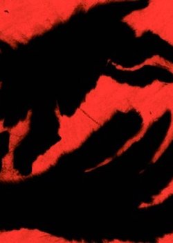 Copertina di Animal Dance