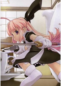 Copertina di Ichigeki Sacchuu!! Hoihoi-san