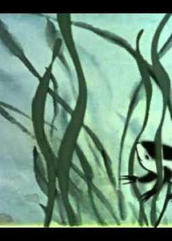 Copertina di Where is Mama