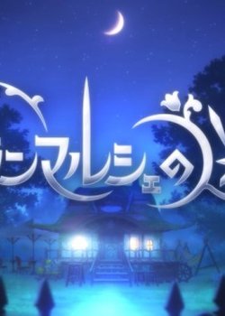 Copertina di Grand Marche no Meikyuu