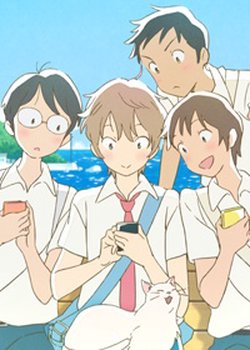 Copertina di Puzzle & Dragons CM