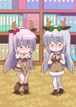 Copertina di Alice or Alice Recap