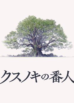 The Camphorwood Custodian