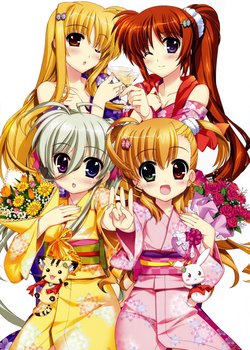 Copertina di Mahou Shoujo Lyrical Nanoha ViVid 2