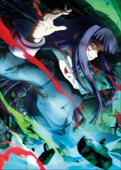 Copertina di the Garden of sinners Chapter 3: Remaining Sense of Pain