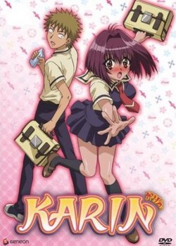 Copertina di Karin