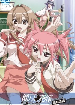 Copertina di Seto no Hanayome Fan Disc