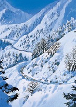 Copertina di Shiokari Pass