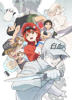 Copertina di Cells at Work! 2nd Season