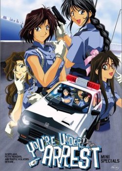 Copertina di You're Under Arrest Mini Specials