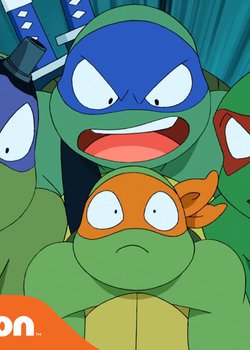 Copertina di Turtles Take Time (and Space)