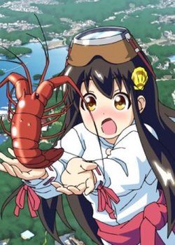 Copertina di Aoshima Megu