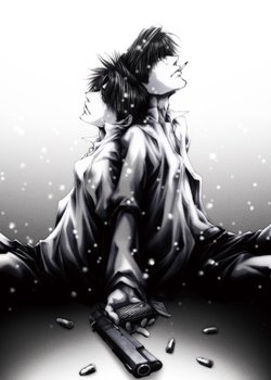 Copertina di Wild Adapter