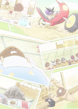 Copertina di The Nameko Families