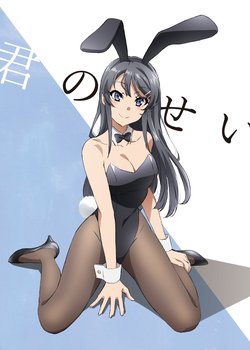Copertina di Seishun Buta Yarou wa Bunny Girl Senpai no Yume wo Minai - Picture Drama
