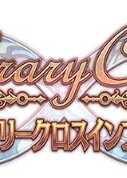 Copertina di Library Cross Infinite