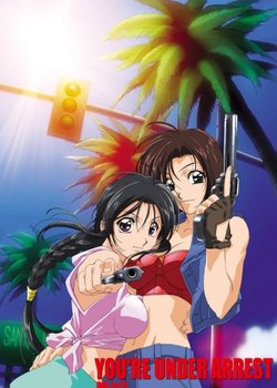 Copertina di You're Under Arrest: No Mercy!!