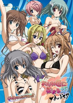 Copertina di Akane Iro ni Somaru Saka Hardcore OVA