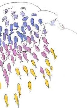 Copertina di Swimming