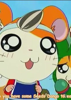 Copertina di Hamtaro Hai!