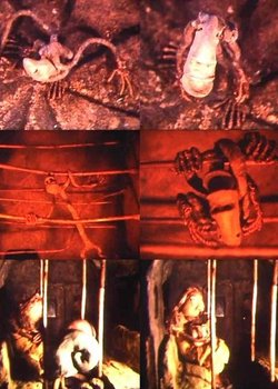 Copertina di Born by Myself