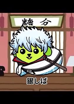 Copertina di Gintama x Mameshiba