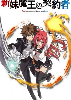 Copertina di Shinmai Maou no Testament OVA