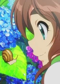 Copertina di Hydrangea