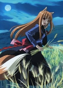 Copertina di Spice and Wolf II: The Wolf and the Amber Melancholy