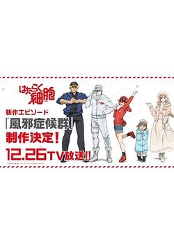 Copertina di Cells at Work Special