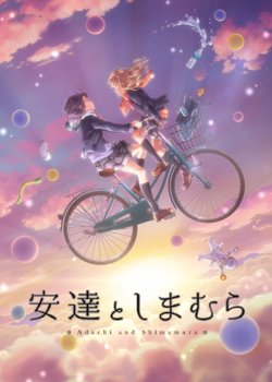 Copertina di Adachi and Shimamura